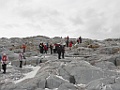 Aan land [01079] 21-mrt-2023 (Port Charcot, Antarctica)