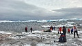 Landing [01099] 21-mrt-2023 (Port Charcot, Antarctica)