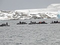 Zodiacs op zee [01107] 21-mrt-2023 (Port Charcot, Antarctica)
