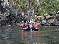 Zodiac cruise Gough Island [02239] 07-apr-2023 (Gough Island)
