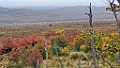 Mount Olivia [01427] 27-mrt-2023 (Mount Olivia, Ushuaia)