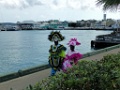 Nassau [299] 04-mrt-2016 (Nassau, Bahamas)