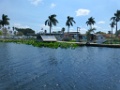 Rondvaart met de Airboat [425] 06-mrt-2016 (Everglades, Florida)