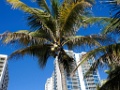 Miami Beach [027] 27-feb-2016 (Miami, Florida)