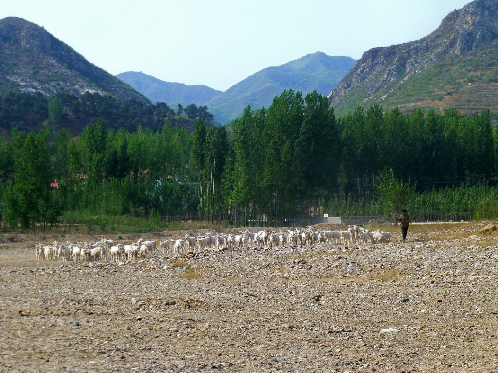 Landschap [00296] 08-mei-2016 (Qinglong River, Beidaihe).jpg - Landschap