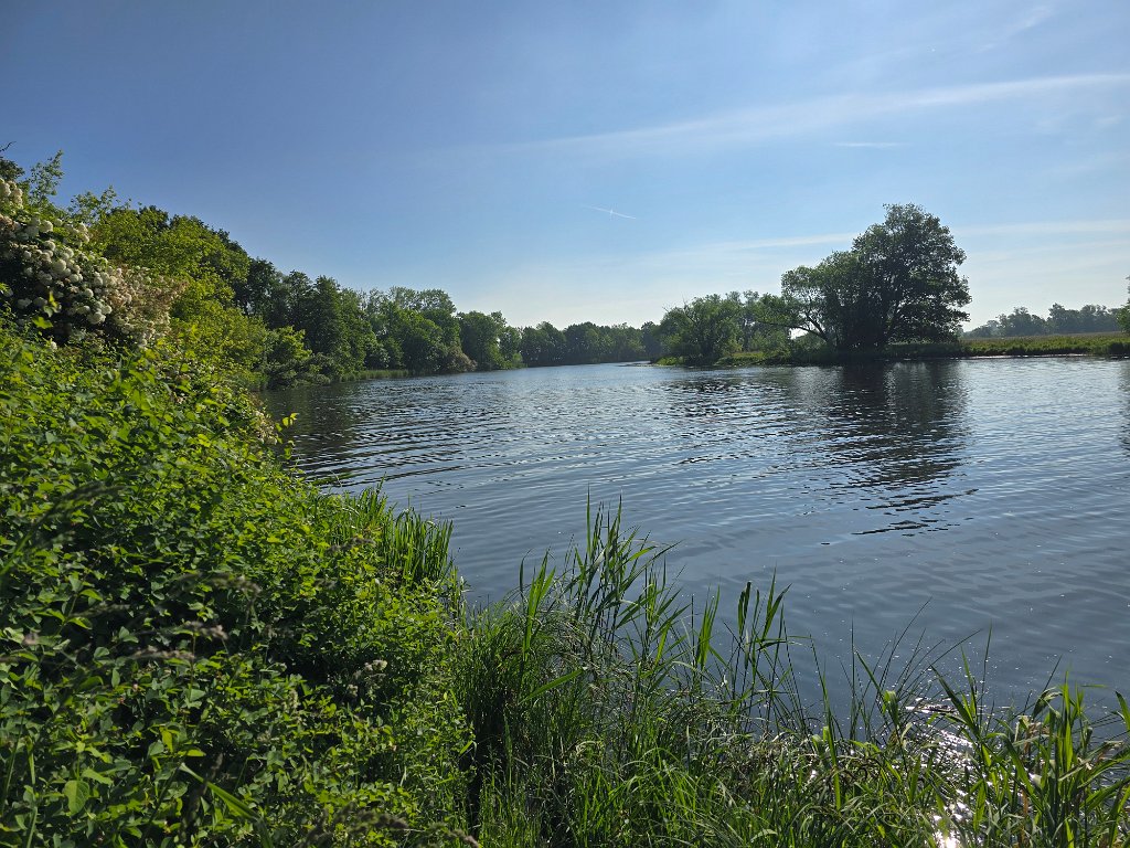 Havel [20154] 21-mei-2025 (Havel, Seeblick).jpg - Havel