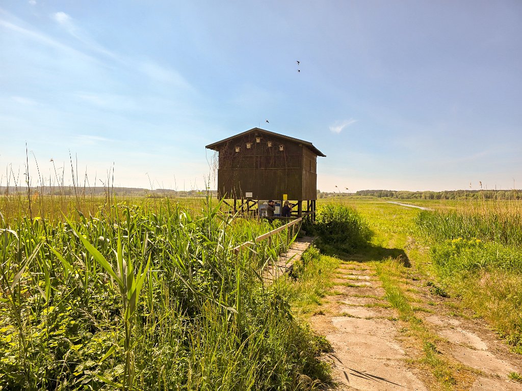 Observatiehut [20161] 21-mei-2025 (Parey, Seeblick).jpg - Observatiehut