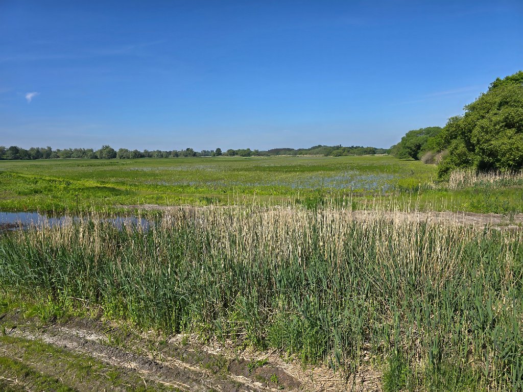 Parey [20162] 21-mei-2025 (Parey, Seeblick).jpg - Parey