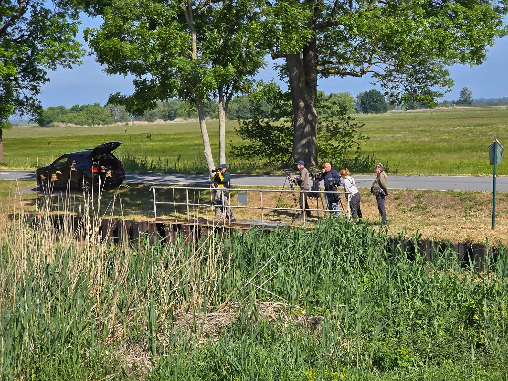 Parey [Dui-10060] 21-mei-2025 (Parey, Seeblick).jpg - Parey