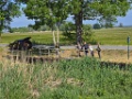 Parey [Dui-10060] 21-mei-2025 (Parey, Seeblick)