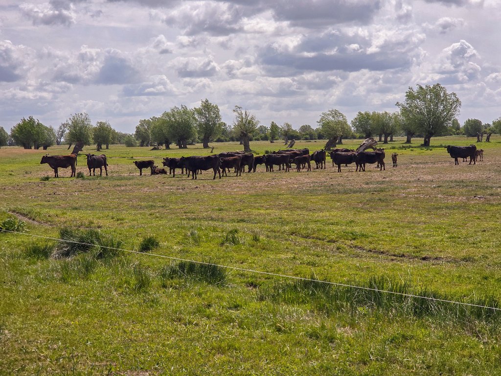 Kuhlhausen [20158] 22-mei-2025 (Kuhlhausen).jpg - Kuhlhausen