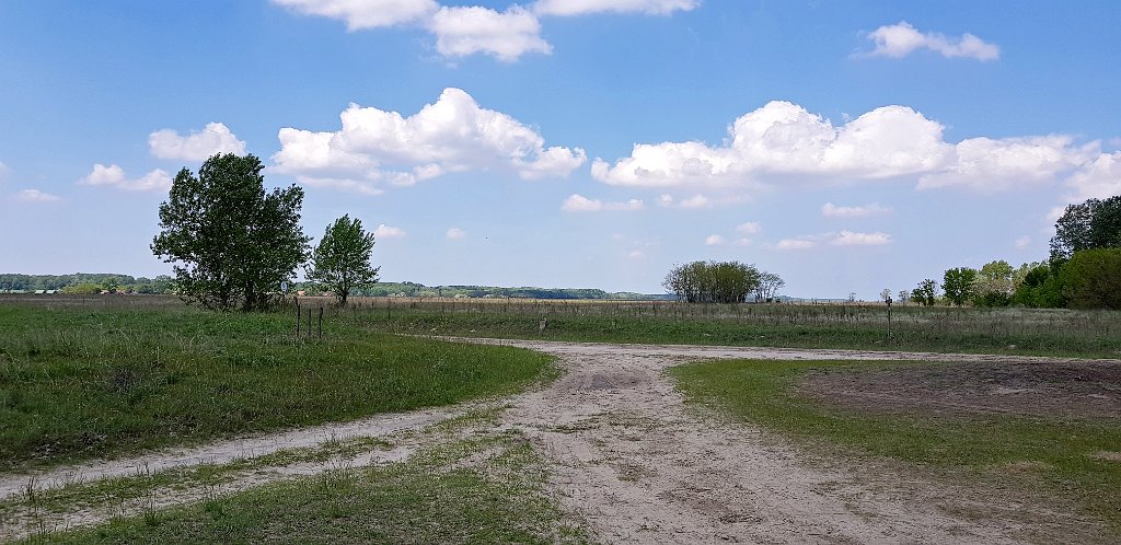 Landschap [210] 08-mei-2019 (NP Bugac-Puszta, Bugac).jpg - Landschap