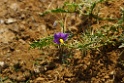 Plant [2060] 04-dec-2013 (Rajasthan)