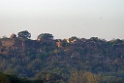 Fort [2193] 05-dec-2013 (Ranthambore NP, Sawai Madhopur)