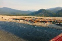Ramganga River [0132] 24-nov-2013 (Corbett NP, Dhikala)