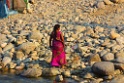 Ramganga River [0173] 24-nov-2013 (Corbett NP, Dhikala)