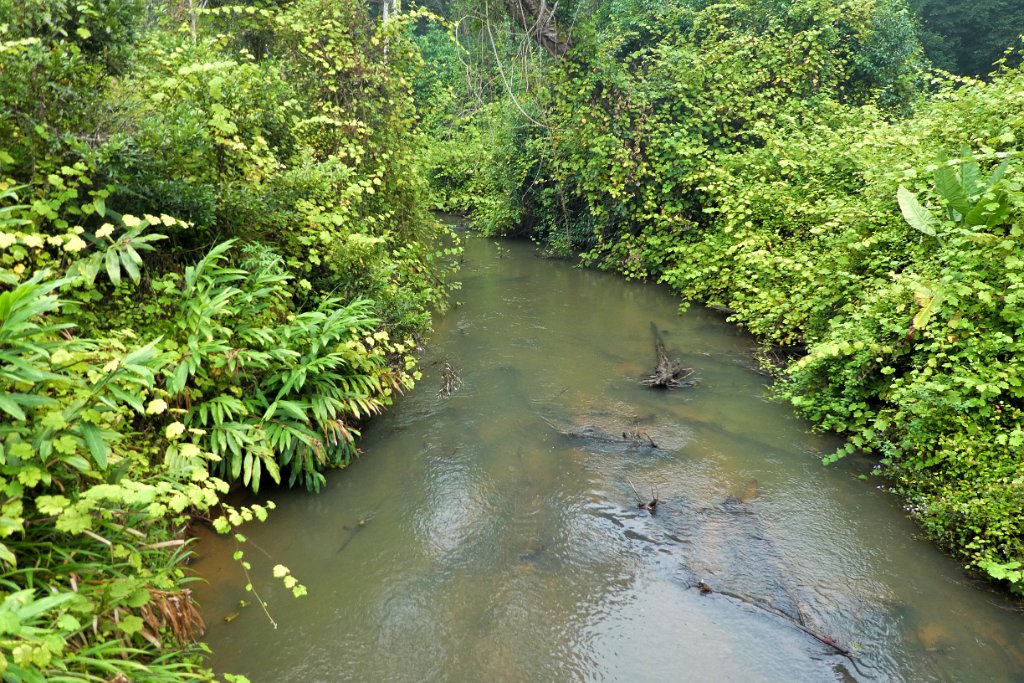 Riviertje [01520] 01-dec-2016 (Mantadia National Parc, Perinet).jpg - Riviertje