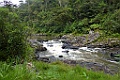 Ranomafana rivier [00938] 24-nov-2016 (Ranomafana National Parc)
