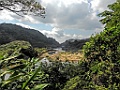 Ranomafana rivier [01087] 26-nov-2016 (Ranomafana National Parc)