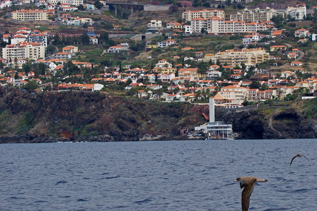 Funchal [0459] 30-jun-2015 (Atlantische Oceaan, Madeira).jpg - Funchal