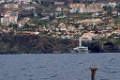 Funchal [0459] 30-jun-2015 (Atlantische Oceaan, Madeira)