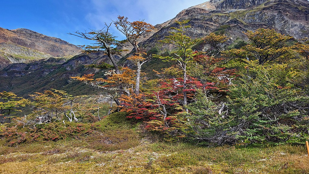 Paso Garbaldi [00076] 12-mrt-2023 (Ushuaia, Vuurland).jpg - Paso Garbaldi