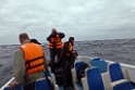 Pelagische boottocht [0081] 11-jul-2012 (Grote Oceaan, Lima)
