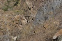 Onderweg [0421] 12-jul-2012 (West Andes, Huachupampa)
