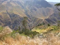 Onderweg [0460] 12-jul-2012 (West Andes, Huachupampa)