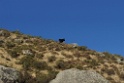Landschap [0566] 13-jul-2012 (West Andes, Huachupampa)