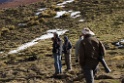 Vogels spotten [0832] 13-jul-2012 (West Andes, Marcapomacochas)