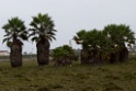 Landschap [1066] 14-jul-2012 (Pantanos de Villa, Lima)