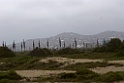 Landschap [1093] 14-jul-2012 (Pantanos de Villa, Lima)