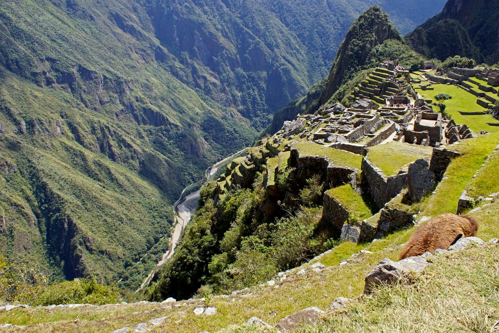 Machu Pichu [1438] 16-jul-2012 (Oost Andes, Machu Pichu).JPG - Machu Pichu