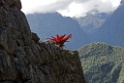 Machu Pichu [1497] 16-jul-2012 (Oost Andes, Machu Pichu)