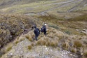 Vogels spotten [1680] 17-jul-2012 (Oost Andes, Abra Malaga Pas)