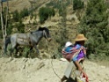 Landschap [1820] 18-jul-2012 (Oost Andes, NP Manu)
