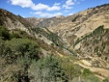 Landschap [1823] 18-jul-2012 (Oost Andes, NP Manu)