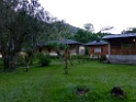 Lodge [2482] 22-jul-2012 (NP Manu, Amazonia Lodge)