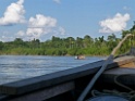 Madre de Dios River [2973] 24-jul-2012 (NP Manu, Amazon Manu Lodge)