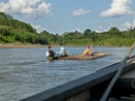 Madre de Dios River [2974] 24-jul-2012 (NP Manu, Amazon Manu Lodge)