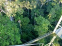 Canopy Tower [3004] 25-jul-2012 (NP Manu, Amazon Manu Lodge)