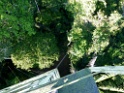 Canopy Tower [3018] 25-jul-2012 (NP Manu, Amazon Manu Lodge)