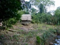 Lodge [3089] 25-jul-2012 (NP Manu, Amazon Manu Lodge)