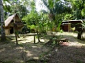 Lodge [3097] 25-jul-2012 (NP Manu, Amazon Manu Lodge)