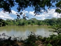 Madre de Dios River [3096] 25-jul-2012 (NP Manu, Amazon Manu Lodge)