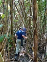 Jungle pad [3505] 27-jul-2012 (NP Manu, Amazon Manu Lodge)