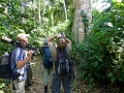 Vogels spotten [3489] 27-jul-2012 (NP Manu, Amazon Manu Lodge)