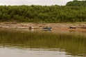 Madre de DIos River [3558] 28-jul-2012 (NP Manu, Rio Madre de Dios)