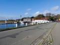 Excursie TVWG Rugen [025] 21-okt-2017 (Rugen)